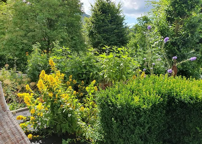 Terrace Retreat In