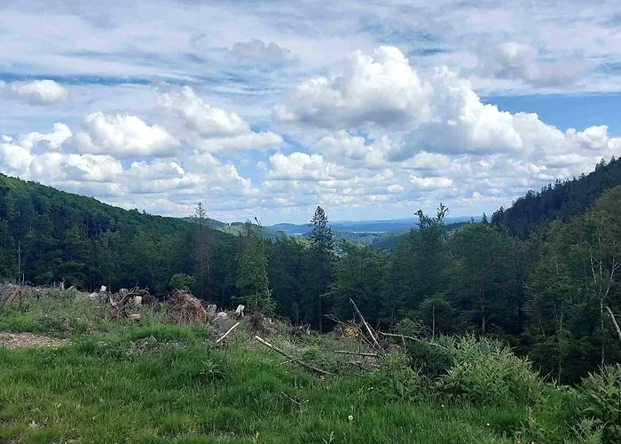 Terrace Retreat In Lägenhet Winterberg