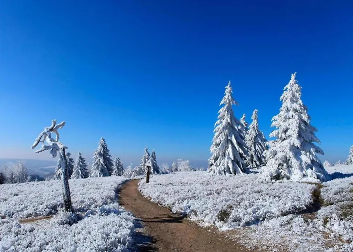 Terrace Retreat In * Βίντερμπεργκ