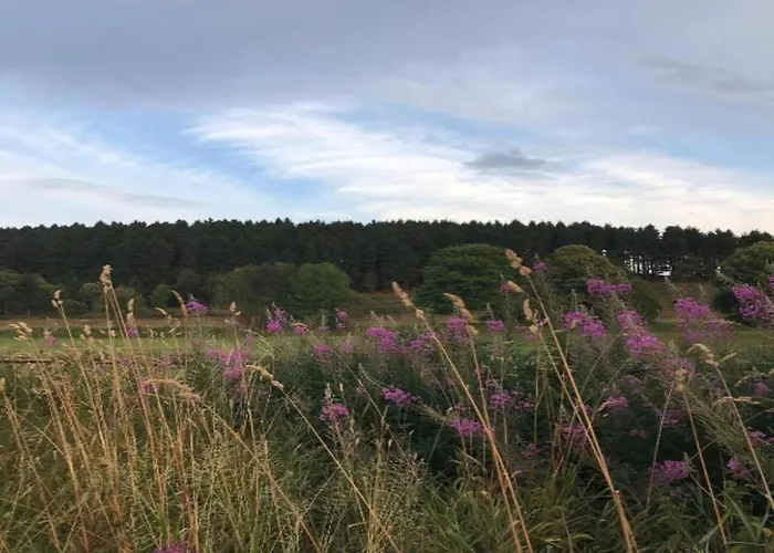 Terrace Retreat In Lägenhet