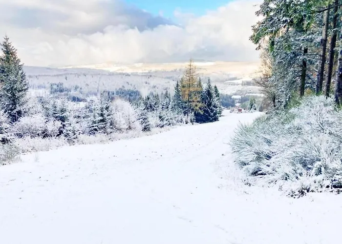Lägenhet Terrace Retreat In Winterberg